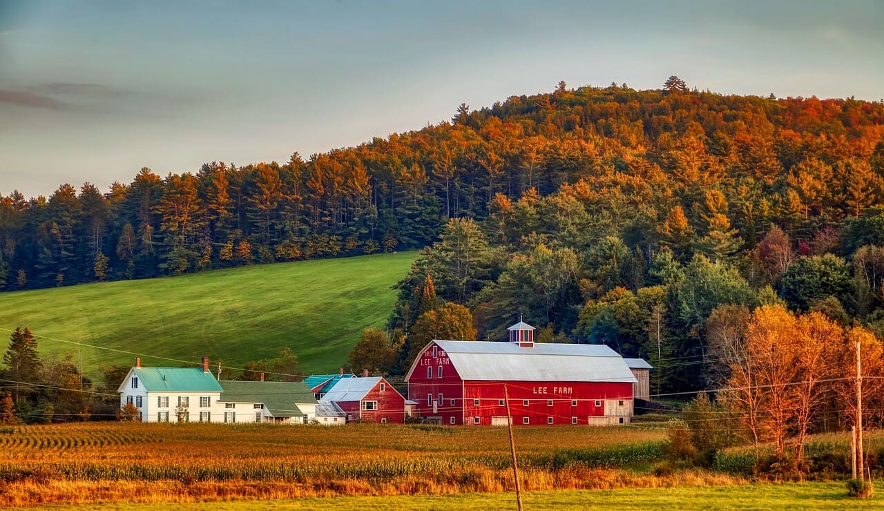 Fall Foliage Spectacular: The Best Spots to Experience Autumn in New ...